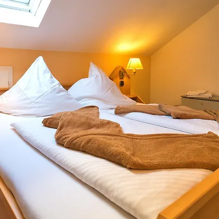 Zum Lieben Augustin Hotel 2*